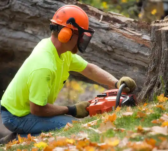 tree services Lopatcong Overlook